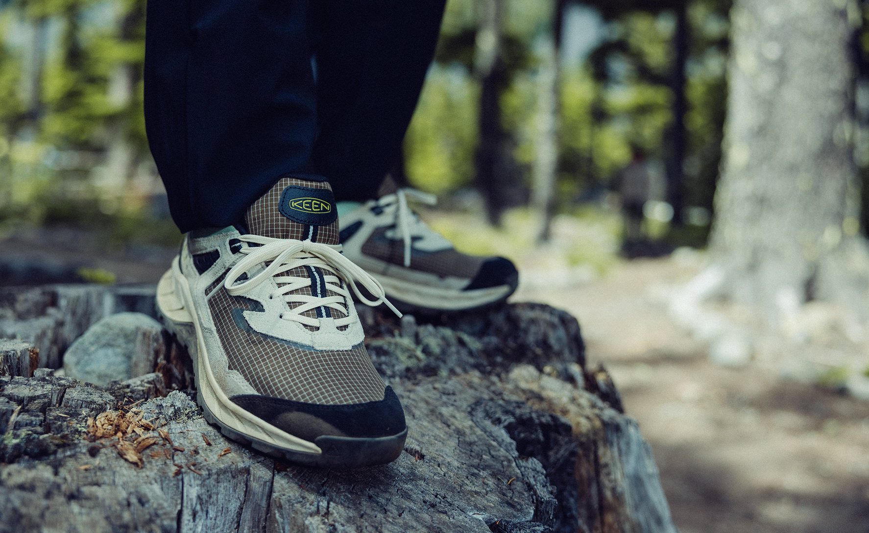 Men's Hightrail EXP Waterproof | Canteen/Hemlock - Image 7