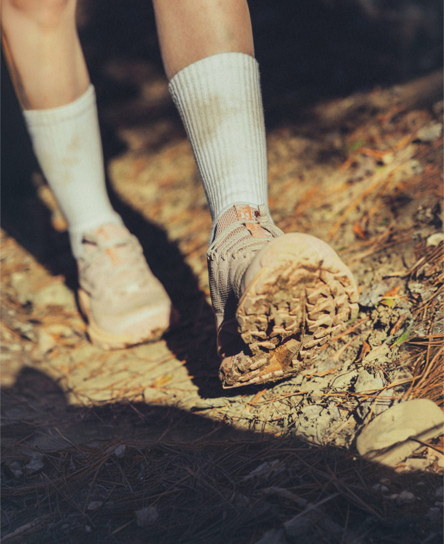 Women's Targhee Apex Waterproof Hiking Shoe | Abbey Stone/Birch - Image 8